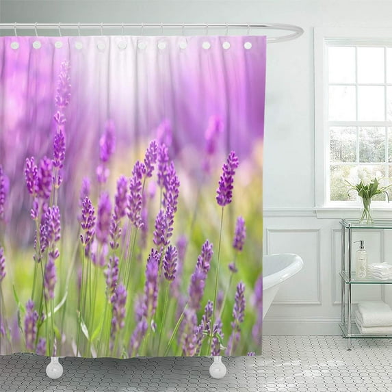 Libin Purple Abundance Beautiful Lavender Bathed in Sunlight Sun Rays Shower Curtain 66x72 inch