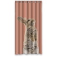 thumbnail image 1 of Libin Rabbit Standing Waterproof Bathroom Fabric Shower Curtain 36x72 inches, 1 of 3