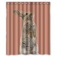 thumbnail image 1 of Libin Rabbit Standing Waterproof Bathroom Fabric Shower Curtain 60x72 inches, 1 of 3