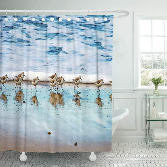 Libin Shorebird Sandpipers Running Along Beach Sand Piper Nautical Ocean Shower Curtain 66x72 inch