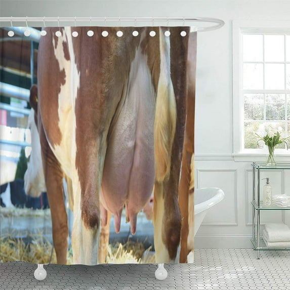 Libin Teeth Brown Calf Closeup of Cow Udder Green Agriculture Shower Curtain 66x72 inch