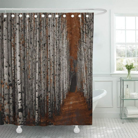 Libin Tree Aspen Alley Fine Three Landscape Photography Wyoming Shower Curtain 60x72 inch