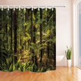 thumbnail image 1 of Libin Tropical Rainforest with Sunlight Polyester Fabric Bathroom Shower Curtain 66x72 inches, 1 of 3