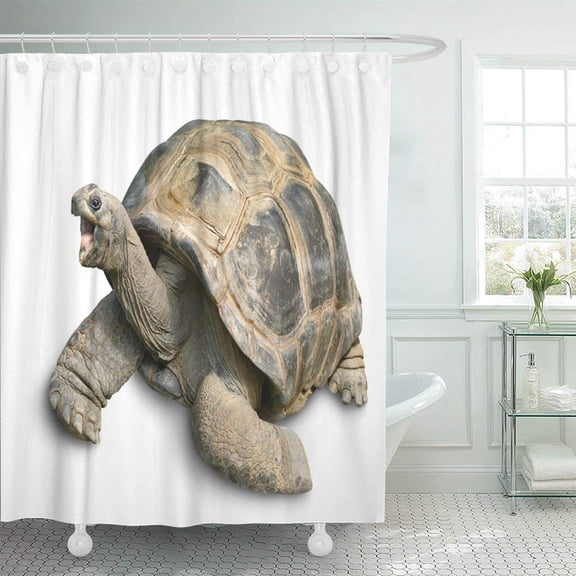 Libin Turtle Animal Portrait of Beautiful Giant Tortoise Looking Funny and Cheerful White Galapagos Big Shower Curtain 66x72 inch