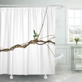 thumbnail image 1 of Libin Twisted Jungle Vines Palmate Leaves of Wild Morning Glory Shower Curtain 66x72 inch, 1 of 3