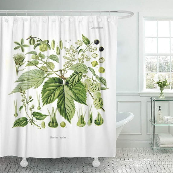 Libin Vintage Humulus Lupulus Hop Botanical Painting Flower Floral Botany Shower Curtain 66x72 inch