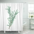 thumbnail image 1 of Libin Watercolor Herb Rosemary Painting Wall Shower Curtain 60x72 inch, 1 of 3