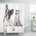 thumbnail image 1 of Libin White Cute Cat and Dog British Kitten French Bulldog Shower Curtain 60x72 inch, 1 of 3