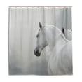 thumbnail image 1 of Libin White Horse Shower Curtain Waterproof Bathroom Shower Curtain 66x72 inches, 1 of 3