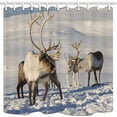 thumbnail image 1 of Libin Wild AnimalsReindeer In snow Polyester Fabric Bathroom Shower Curtain 66x72 inches, 1 of 3