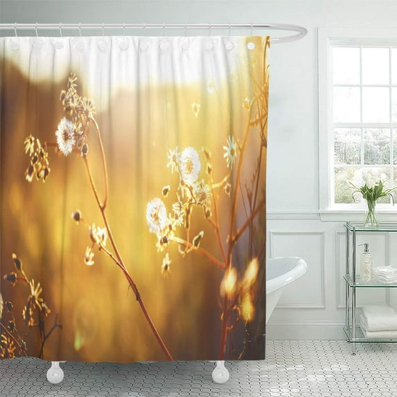 Libin Wild Meadow Dandelion Beautiful Flowers in Spring Fied Nature Shower Curtain 60x72 inch