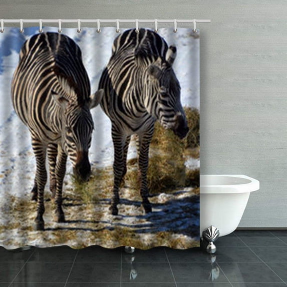 Libin Winter Time Zebras Several Species African Unique Stripes Shower Curtains Bathroom Curtain 66x72 Inch