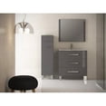 thumbnail image 1 of Libra 27 Inch Gray Modern Bathroom Vanity Wall Mount with White Integrated Porcelain Sink, 1 of 1