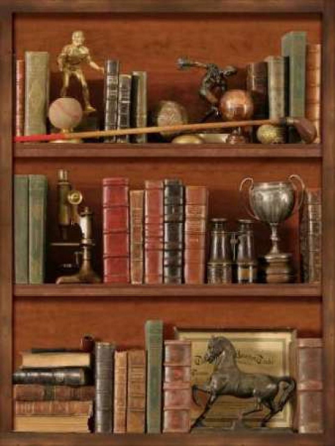 Librairie IV Canvas Art - Pela Design (18 x 24)