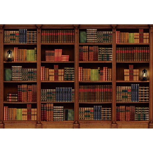 Library Office Bookshelf Photography Backdrop Go to School Bookcase