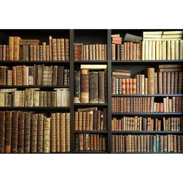 Library Office Bookshelf Photography Backdrop Go to School Bookcase