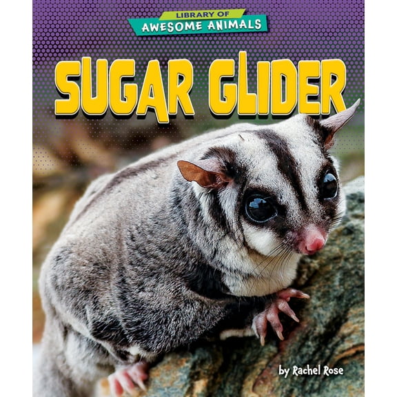 Library of Awesome Animals Set Six Sugar Glider, (Hardcover)