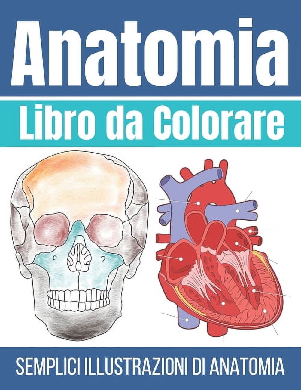 Libro da Colorare Anatomia: Illustrazioni di Anatomia Semplice (Paperback)