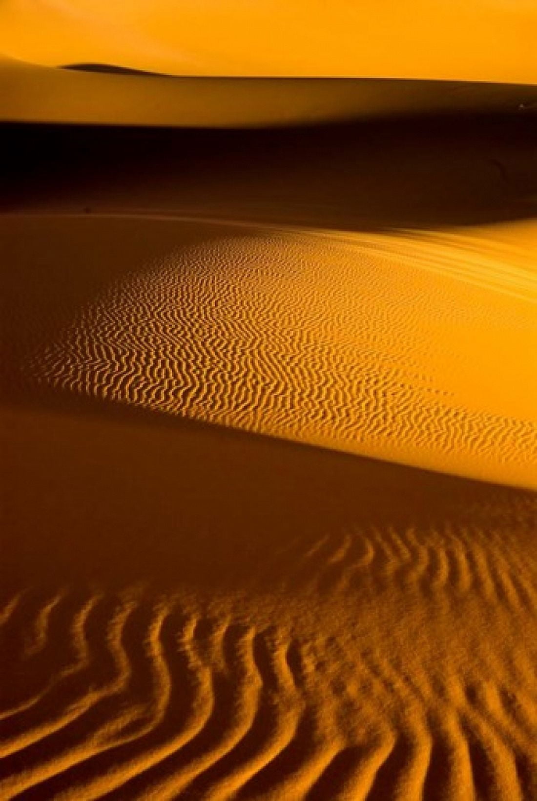 Libya Fezzan Desert Dunes of the Erg Murzuq Canvas Art - Aldo Pavan DanitaDelimont (24 x 35)