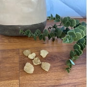 Libyan Desert Glass .5-1