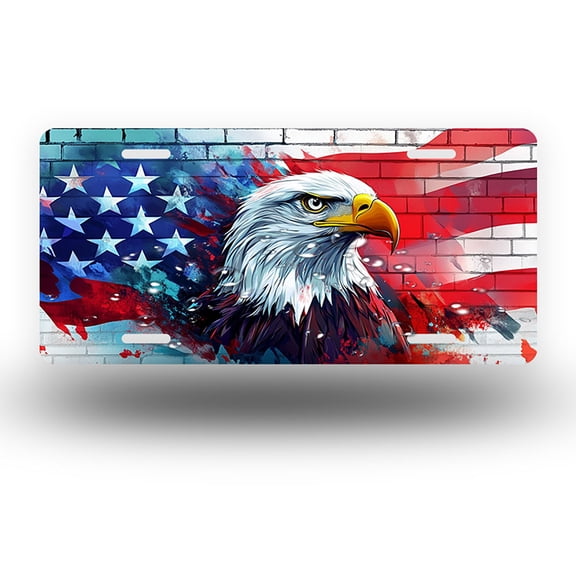 License Plate,Armored Eagle with Flag Decorative Front,Personalized Stainless Steel License Plate Cover For Men Women,12.2" X 6.2"