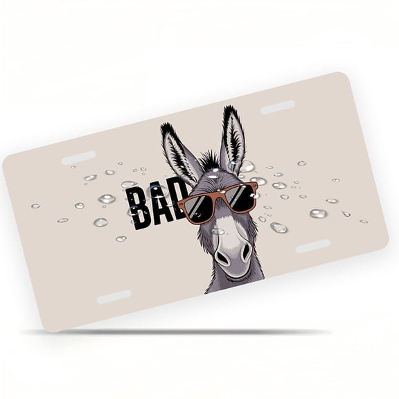 License Plate, Cool Donkey with Sunglasses Decorative Front,Personalized Stainless Steel License Plate Cover For Men Women,12.2" X 6.2"