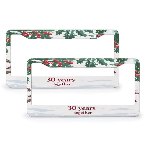 License Plate Frame 30 Years Together Custom Name Car Tags Frames Holder 2 PCS 30 Years Anniversary Mr And Mrs Gifts Quality Aluminum Metal License Plate Frames Fits All Car 12x6 Inch