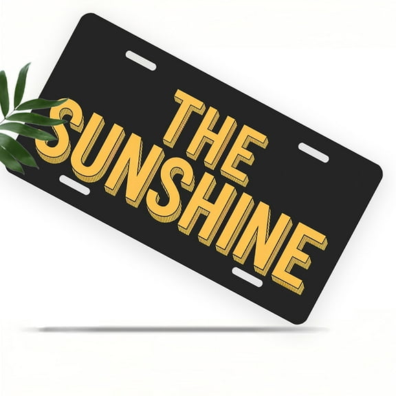 License Plate, Peace Sign Hands Decorative Front,Personalized Stainless Steel License Plate Cover For Men Women,12.2" X 6.2"