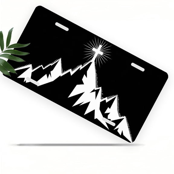 License Plate, Raccoon on Bicycle with a Message Decorative Front,Personalized Stainless Steel License Plate Cover For Men Women,12.2" X 6.2"