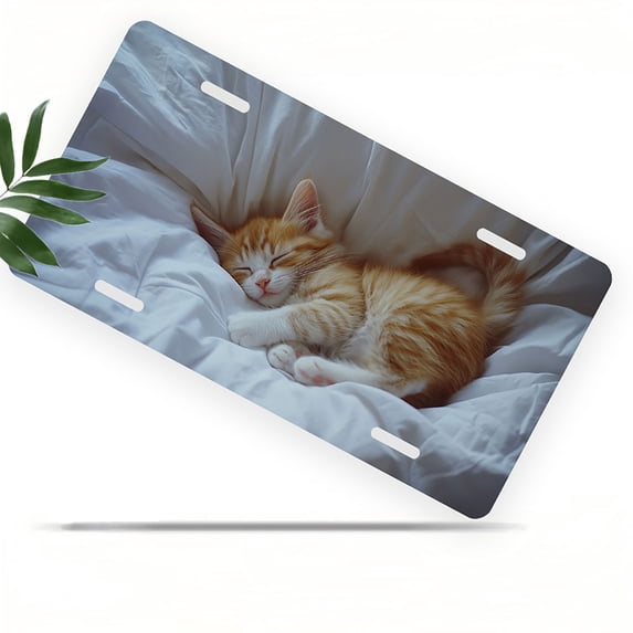 License Plate, Sleeping Kitten Decorative Front,Personalized Stainless Steel License Plate Cover For Men Women,12.2" X 6.2"