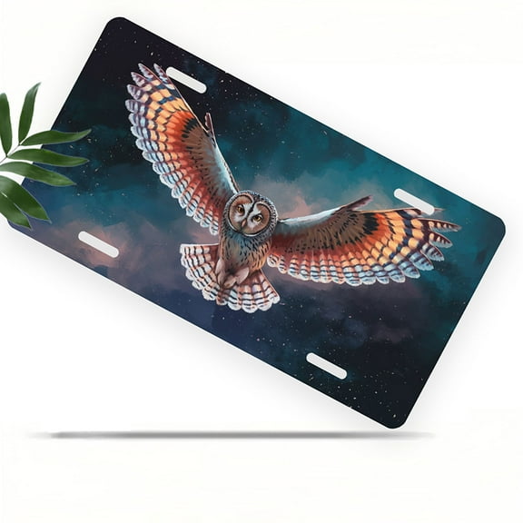 License Plate, Soaring Owl Decorative Front,Personalized Stainless Steel License Plate Cover For Men Women,12.2" X 6.2"