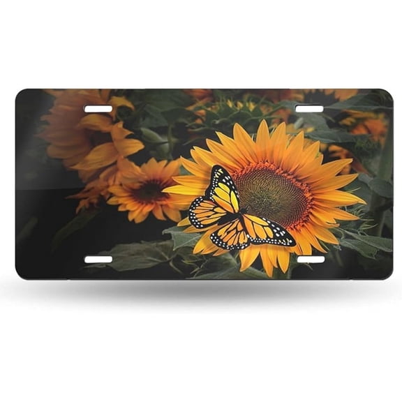 License Plate State of Michigan Great Lakes Decorative Car Front License Plate,Vanity Tag,Metal Car Plate,Aluminum Novelty License Plate for Men/Women/Boy/Girls Car,6 X 12inch