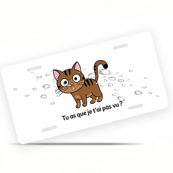 License Plate, Surprised Cat Query Decorative Front,Personalized Stainless Steel License Plate Cover For Men Women,12.2" X 6.2"