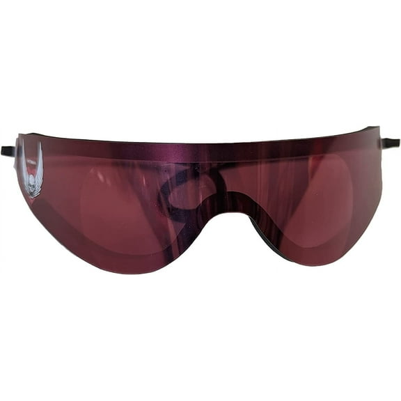 Bret Hart Hitman Heart and Winged Skull Wrap Around Shades Sunglasses New