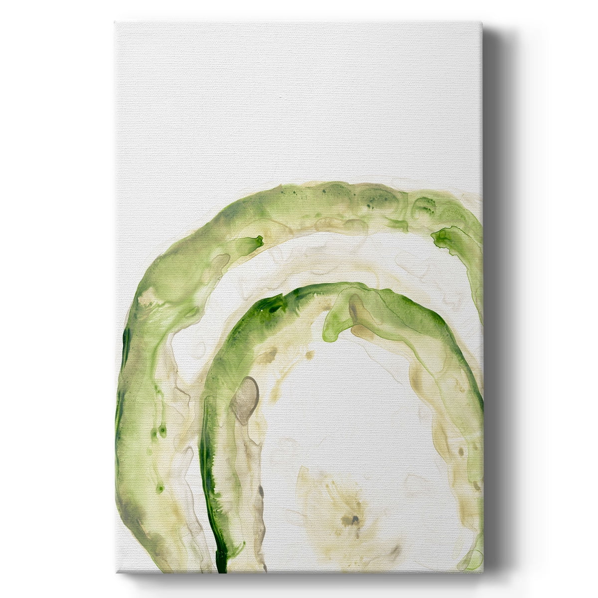 Lichen Halo IV Premium Gallery Wrapped Canvas - Ready to Hang
