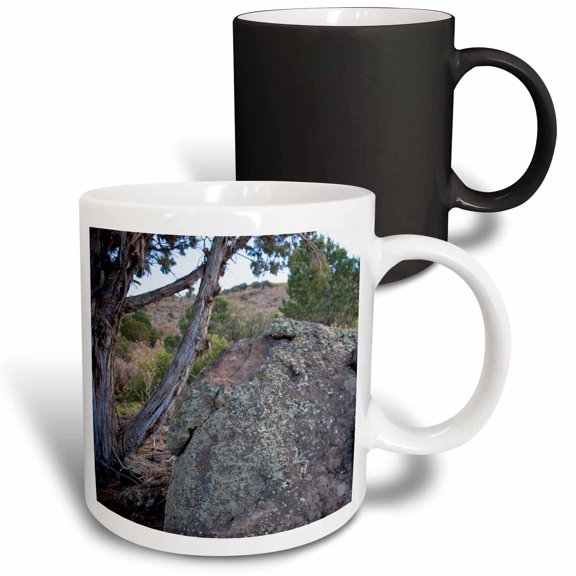 3drose, Lichen on Boulders in the Mountains with Moss and a Barren Tree, 11oz Magic Transforming Mug