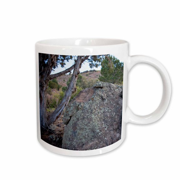 3drose, Lichen on Boulders in the Mountains with Moss and a Barren Tree, 11oz Mug