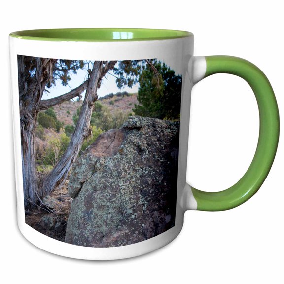 3drose, Lichen on Boulders in the Mountains with Moss and a Barren Tree, 11oz Two-tone Green Mug