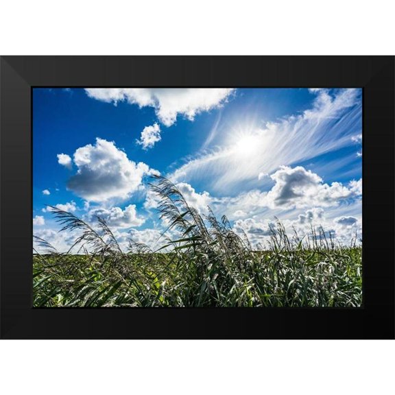 Lichtenwalter, Tom 14x11 Black Modern Framed Museum Art Print Titled - Cloud Painting