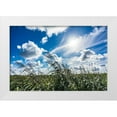 thumbnail image 1 of Lichtenwalter, Tom 14x11 White Modern Wood Framed Museum Art Print Titled - Cloud Painting, 1 of 4