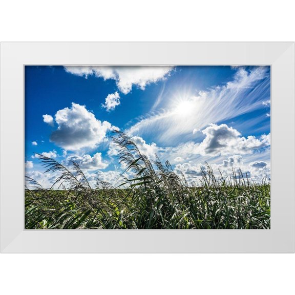 Lichtenwalter, Tom 14x11 White Modern Wood Framed Museum Art Print Titled - Cloud Painting