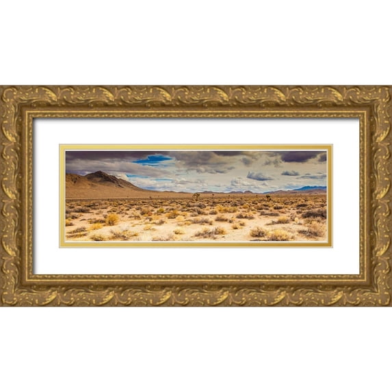 Lichtenwalter, Tom 18x9 Gold Ornate Wood Framed with Double Matting Museum Art Print Titled - Open Range