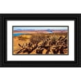 thumbnail image 1 of Lichtenwalter, Tom 24x14 Black Ornate Wood Framed with Double Matting Museum Art Print Titled - Wildwest Cactus, 1 of 4