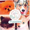 thumbnail image 1 of Lickie &amp; Barkie Lickie &amp; Barkie Puppies, (Paperback), 1 of 1