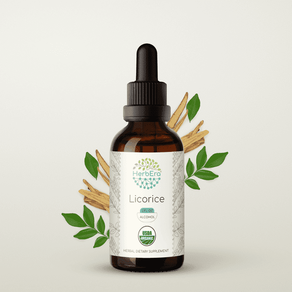 HerbEra Licorice Tincture, Organic Herbal Dietary Supplement for Digestive Support, Certified Organic Licorice (Glycyrrhiza glabra) Dried Root Extract, Natural, Alcohol Tincture, Drops 2 oz