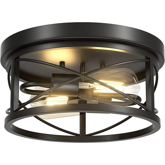 Licperron 2-Light Flush Mount Ceiling Light Fixture, 11.8 In, Modern, Dimmable, Black, Kitchen, Indoor