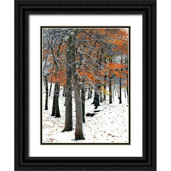 Lieberman , Burney 12x14 Black Ornate Wood Framed with Double Matting Museum Art Print Titled - SnowFall II