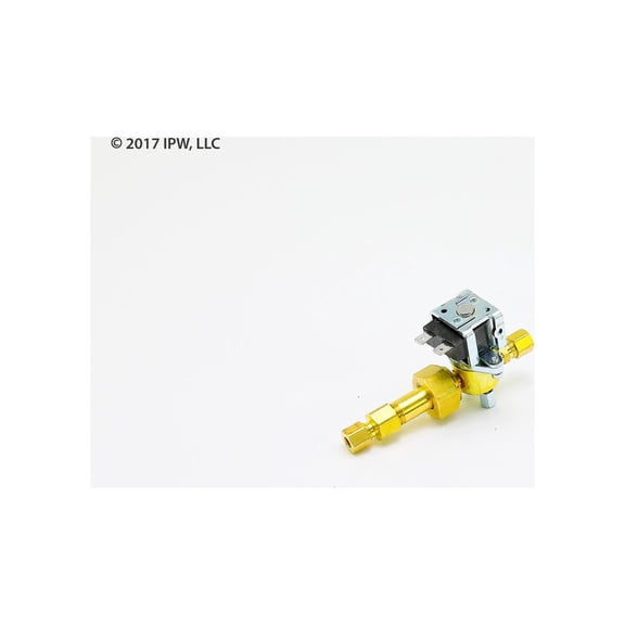 Liebert 136812P1S - 24V Humidifier Valve/Strainer