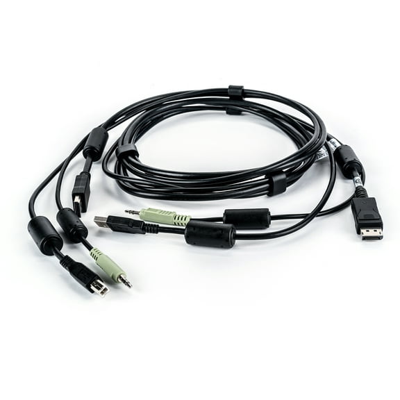 Liebert - Keyboard / Video / Mouse / Audio Cable - Usb, Stereo Mini Jack, Displayport To Stereo Mini Jack, Type B, Displayport - 6 Ft - For Cybex Sc840d