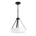 thumbnail image 1 of Lieon Three-Light Convertible Pendant, 1 of 9